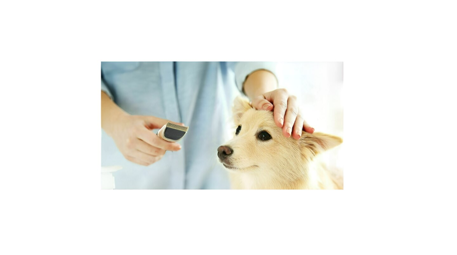 Masina de tuns pentru animale de companie cu 4 capete interschimbabile