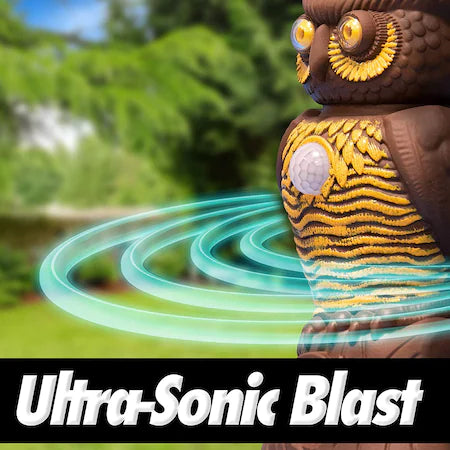 Aparat antidaunatori Ultra Sonic si senzori de miscare Owl Alert